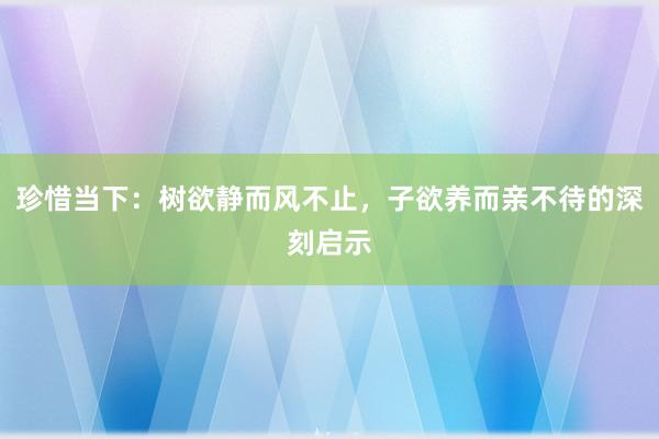 珍惜当下：树欲静而风不止，子欲养而亲不待的深刻启示